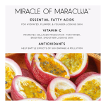 Best Of Maracuja Juicy Lips Set (Holiday Limited Edition) - Image 11