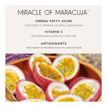 Best Of Maracuja Juicy Lips Gift Set (Holiday Limited Edition) - Image 17