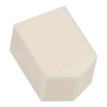 Pentagon Sponge