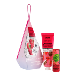 Moving Lights Watermelon Care Set (Holiday Limited Edition)