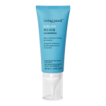 Scalp Care Dry Scalp Treatment