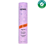 Big Hit Volumizing Shampoo