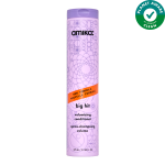 Big Hit Volumizing Conditioner