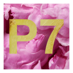 Sparkling Bath Bomb - Image 2