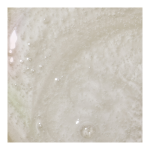 Coconut Body Soap - Image 2