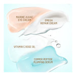 Bright Bestsellers Set (Holiday Limited Edition) - Image 2