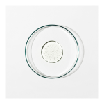Invigorate Hand Wash - Image 2
