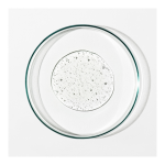 Revive Body Cleanser - Image 2