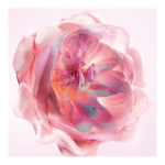 Miss Dior Hand Cream - Image 3