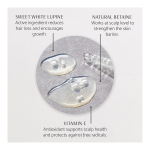 Give Me Strength Strengthening Scalp Concentrate - Image 3