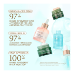 Bright Bestsellers Set (Holiday Limited Edition) - Image 3