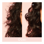 Anti-Frizz Crème - Image 3