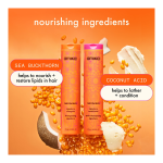 Nourishing Routine Set (Limited Edition) - Image 3