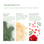 Daily Shield Superfood Conditioner - Image 4