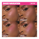 Blush Filter Blurring Blushlighters Palette - Image 4