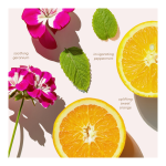 Skin Bliss Cleanser - Image 5