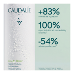 Grape Water Facial Mist - Image 7