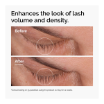 Multi-Peptide Lash And Brow Serum - Image 6