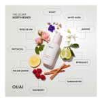 Anti-Frizz Crème - Image 6