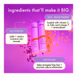Big Hit Volumizing Conditioner - Image 8